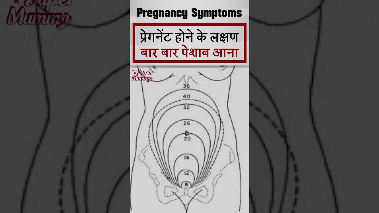 Pregnant Hone Ke Lakshan | Pregnancy Me Bar Bar Peshab Aana | 