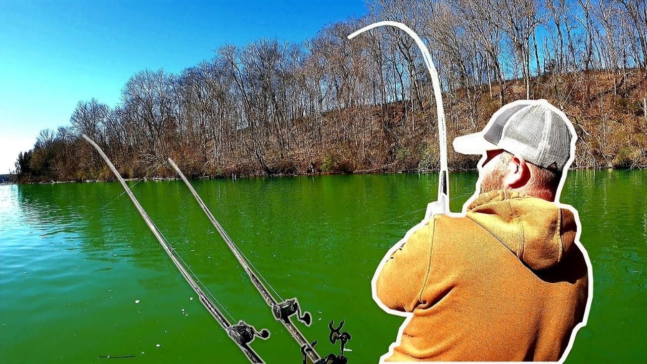 Catfish Fishing Road Trip | Ginger Fish King Goes To Old Hickory Lake