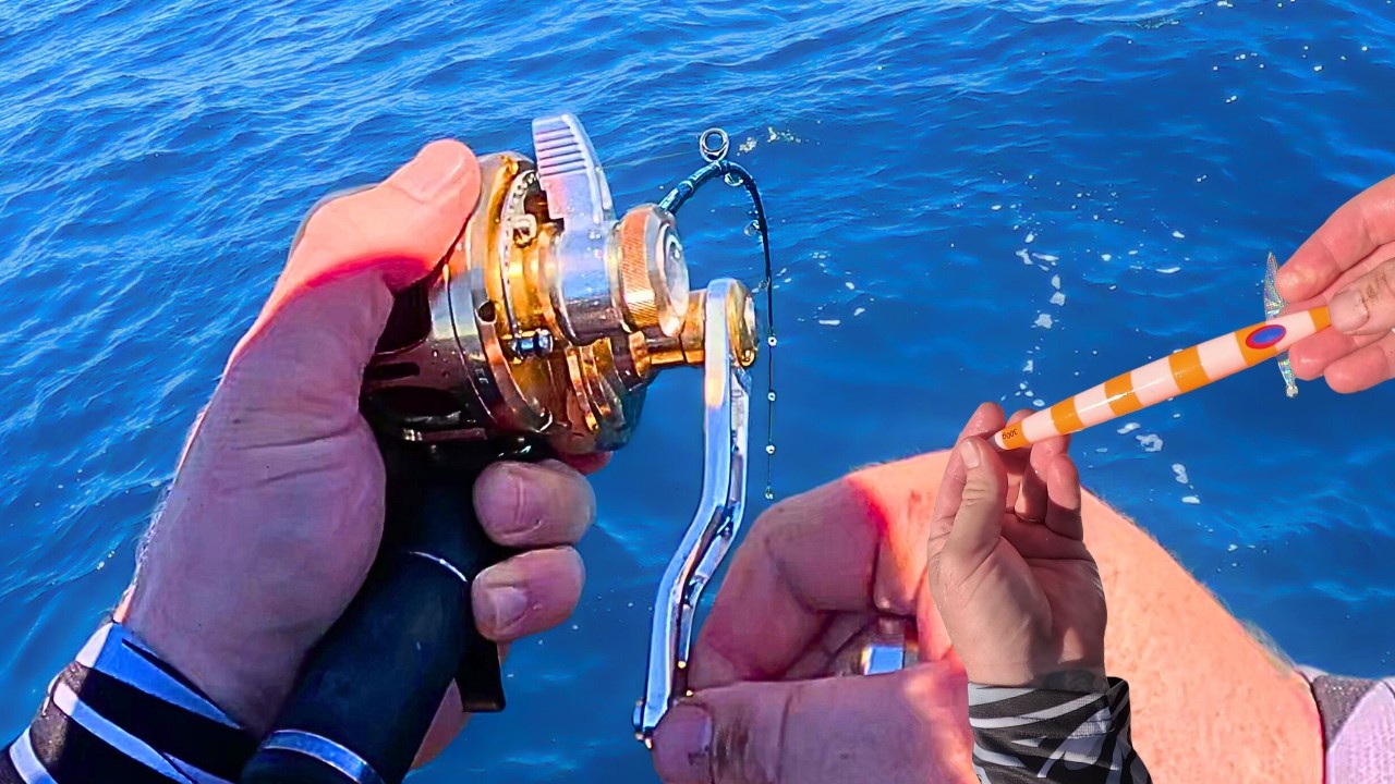 This Fish Fights Hard… But Is It Good to Eat?