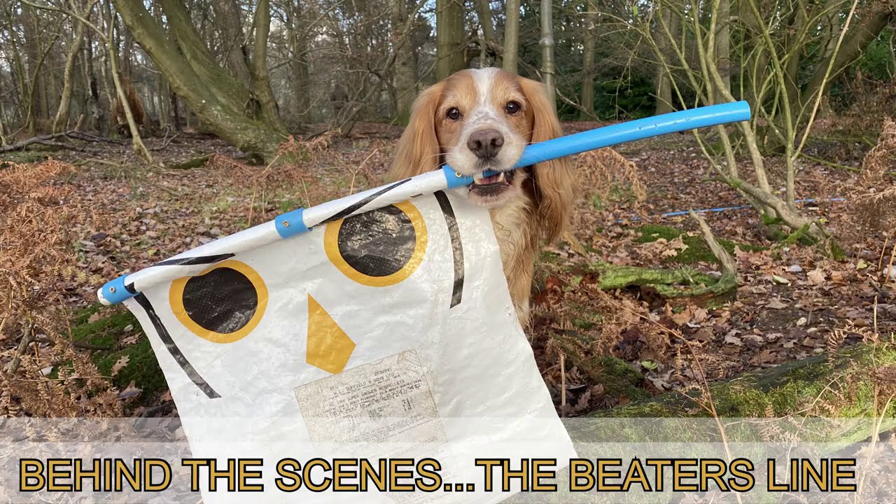 Стрельба по фазанам — The Beaters Line