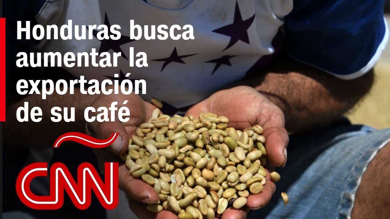 La estrategia de los exportadores de café de Honduras para crecer en el mercado
