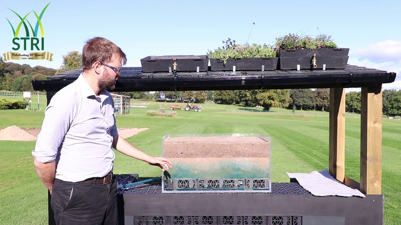 Turf Management 4.0 - Part 2