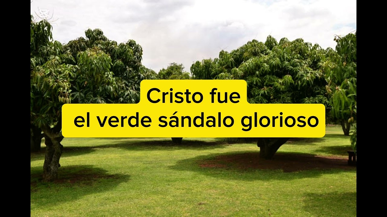 Karaoke: Sandalo(Manuel rivera)