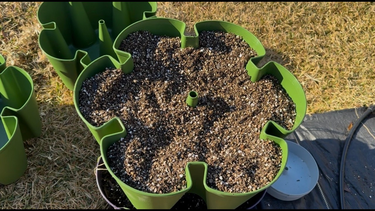 DIY Potting Mix for GreenStalk (Cheap & Effective), Link of items in the description.