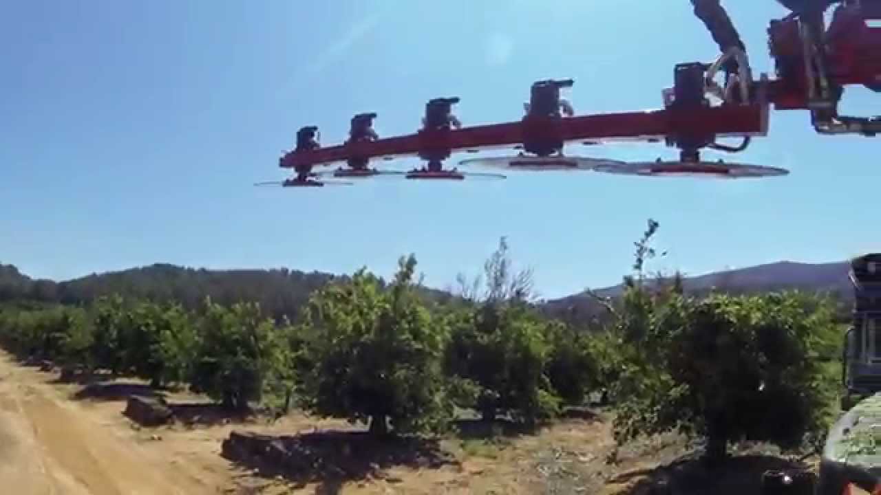 Pre-pruning machines for orhards Mod.PFSV-5 /Pre-podadora de Discos Compacta Mod. PFSV-5.