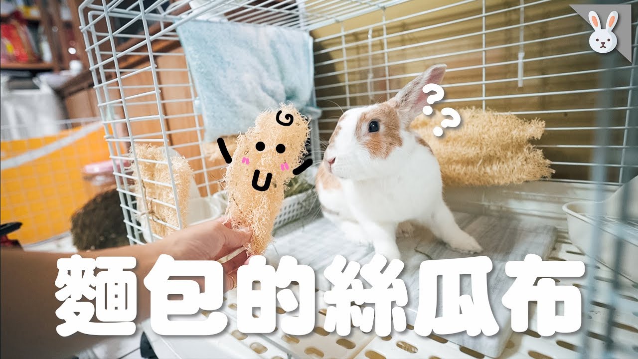 【侑敏yomin】麵包的絲瓜布／圍在籠子裡到底是要幹啥用的？