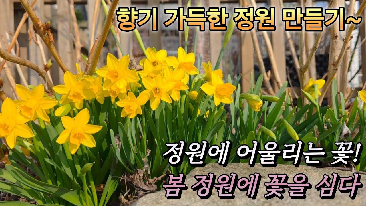 KJ가드닝#26_6/향기 가득한 정원 만들기~/정원에 어울리는 꽃! 봄 정원에 꽃을 심다/🪻나눔 이벤트♡