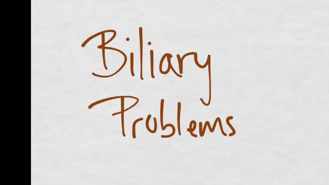 Biliary Problems: Stones and Sludge