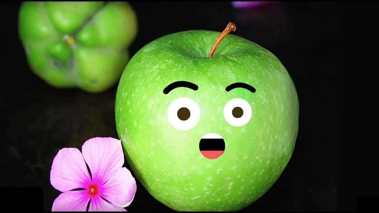 Shapes and Fruits Best Dec Compilation