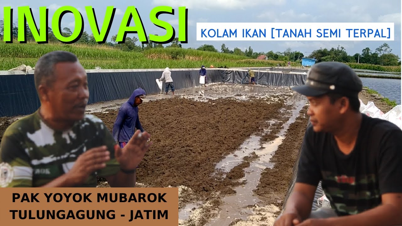 Inovasi Kolam Semi Terpal [Bisa Tahan 15 Tahun]