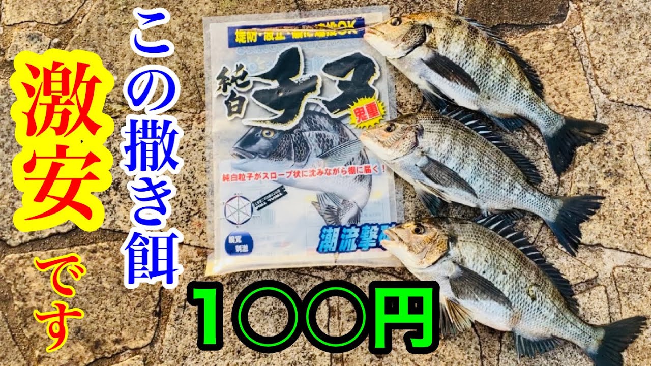 【チヌ釣り】激安撒き餌でチヌを狙う