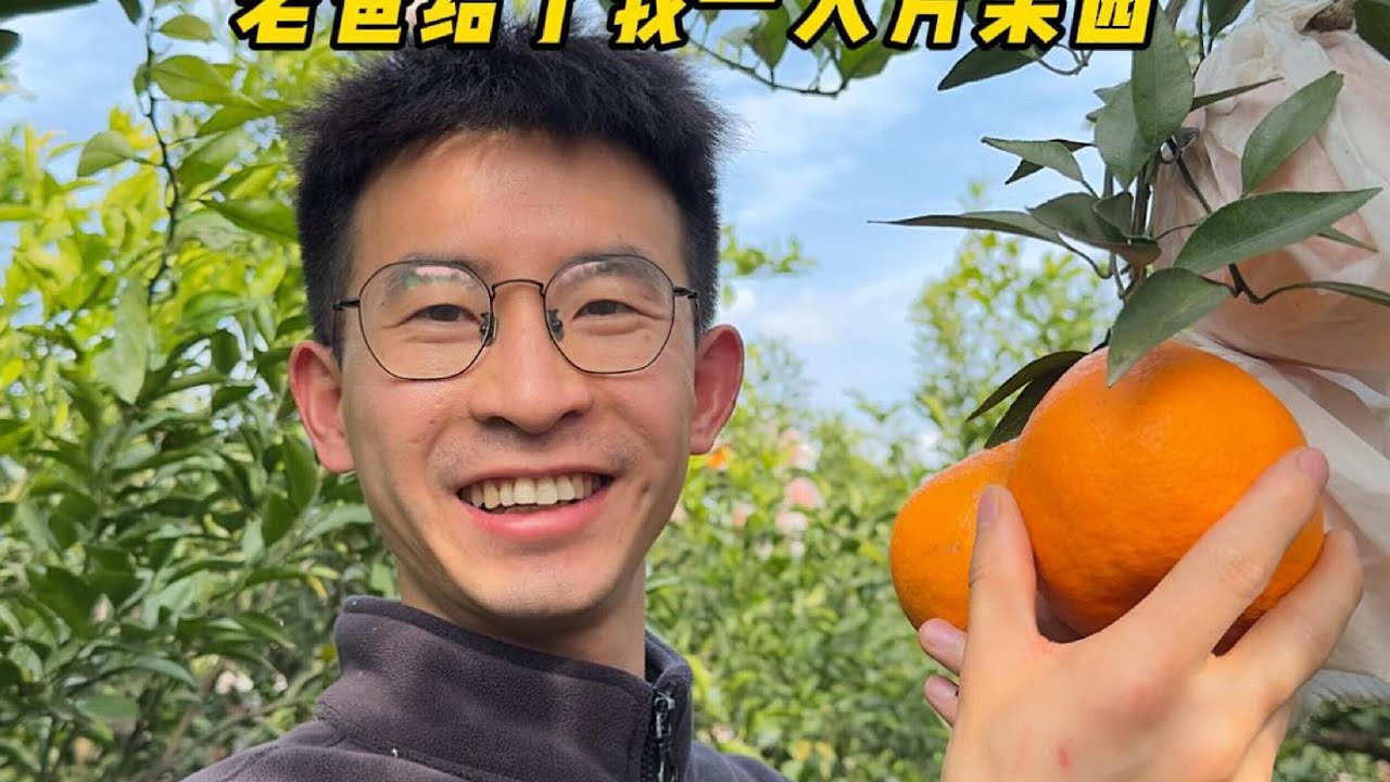 30岁程序员失业回村：这就是我理想中的生活。。。
