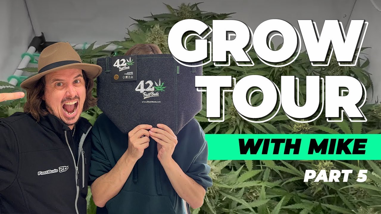 🎥 Home Grow Tour in Prague 🇨🇿 | Apple Strudel MONSTER + DWC Setup! 💧🍏