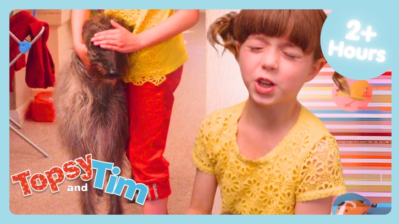 Finders Seekers! 🫣😆  | Topsy & Tim Season 1 Compilation | Fun Shows For Kids | WildBrain Zigzag