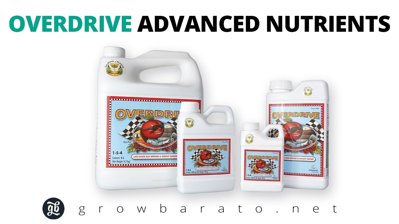 OVERDRIVE de Advanced Nutrients | Engordador de cogollos | Growbarato - GB The Green Brand