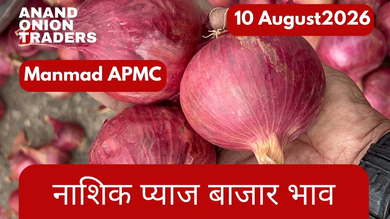 Nashik New Onion Rate Today 🔥 | आज का प्याज भाव 2026 | Mandi Live Update  10 August 2026