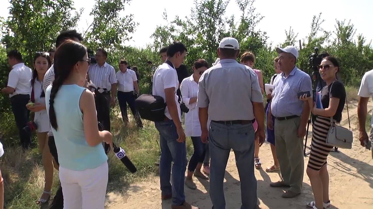 Арыс - агробизнестен  алдыңғы  қатарда