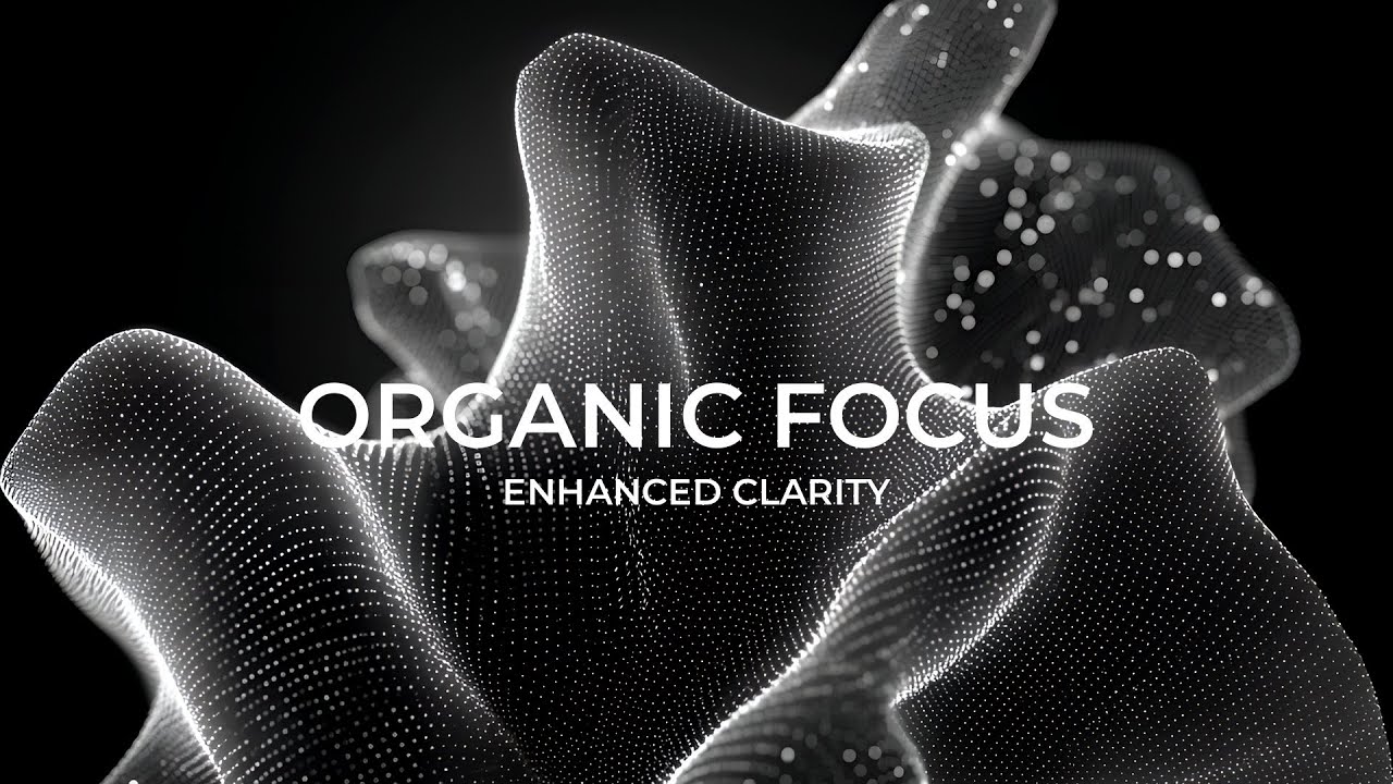 Study Focus - 40Hz Gamma & 14Hz Beta Binaural Beats to Increase Focus