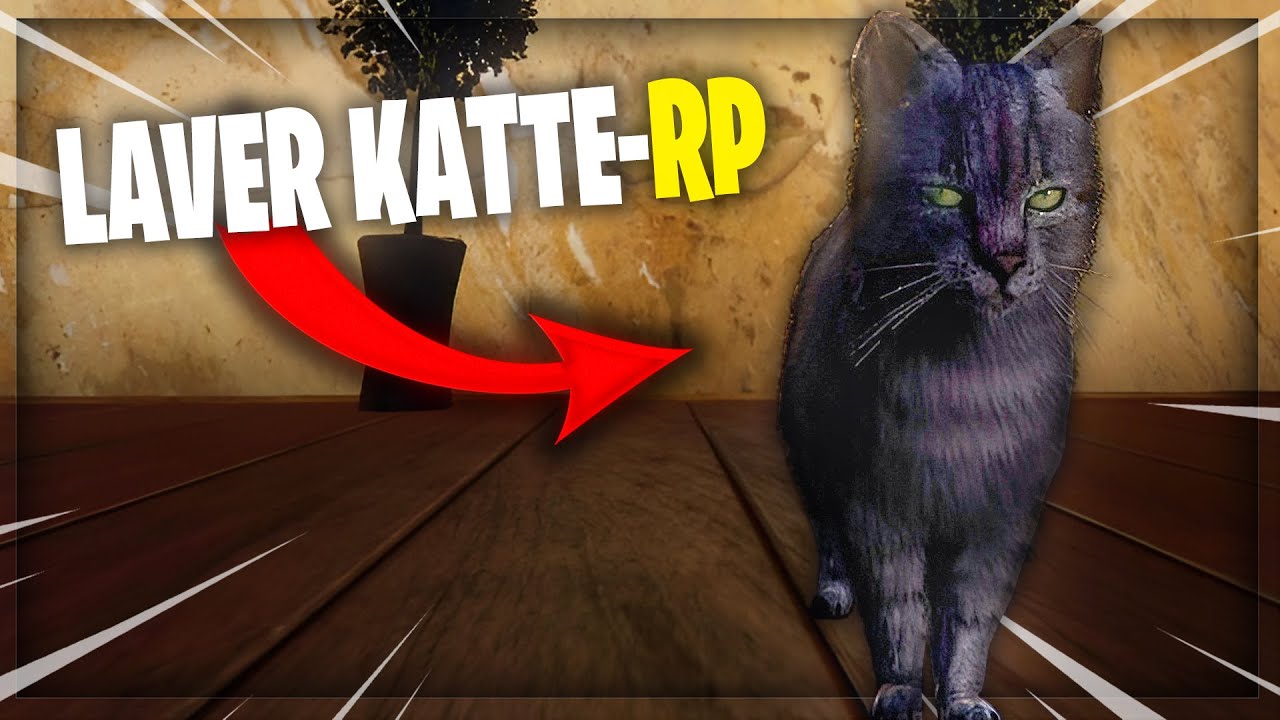 Laver RP som en KAT... - DANSK GTA 5 RP FIVEM