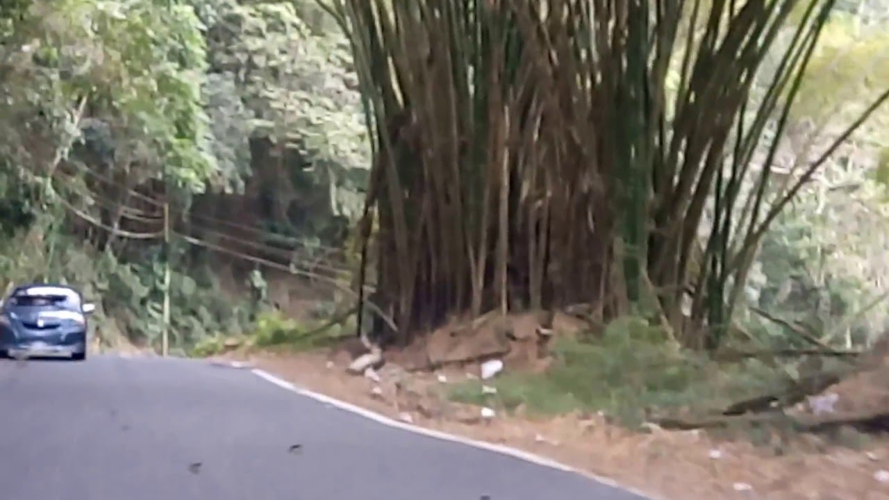 del Sector Boquerón a Viví Abajo en Utuado