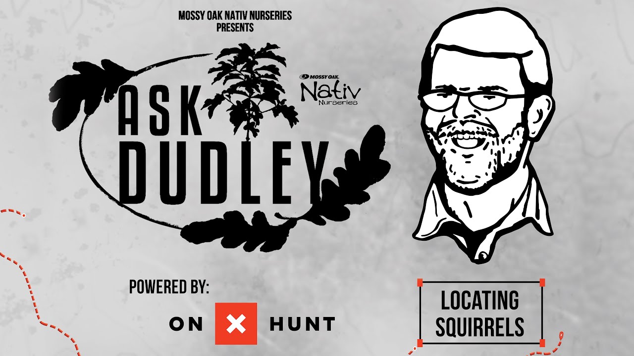 Nativ Nurseries' Ask Dudley | Locating Squirrels