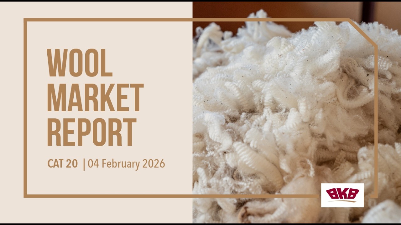BKB Wool Market Report CAT20 | 04 February 2026