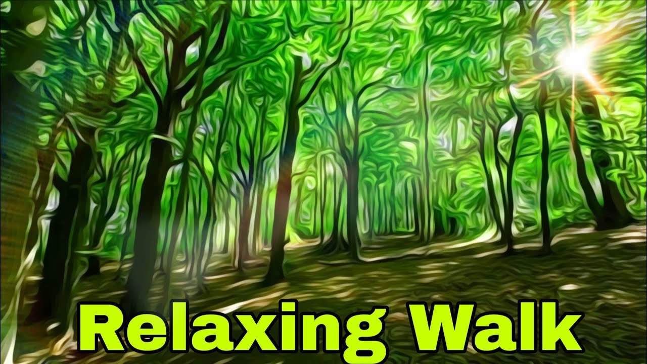 Relax Amongst Trees #woodland #walk #mindfulness #forest