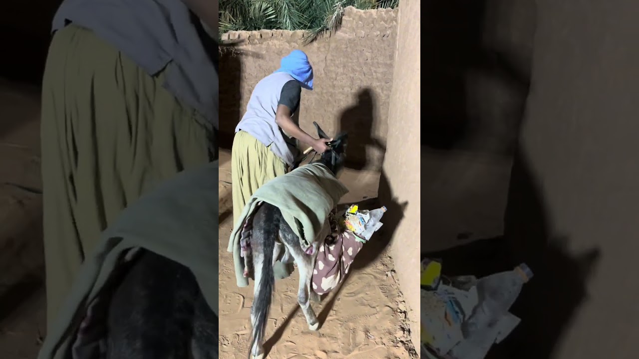 الحلقة السادسة06 #مسلسل_القرية 