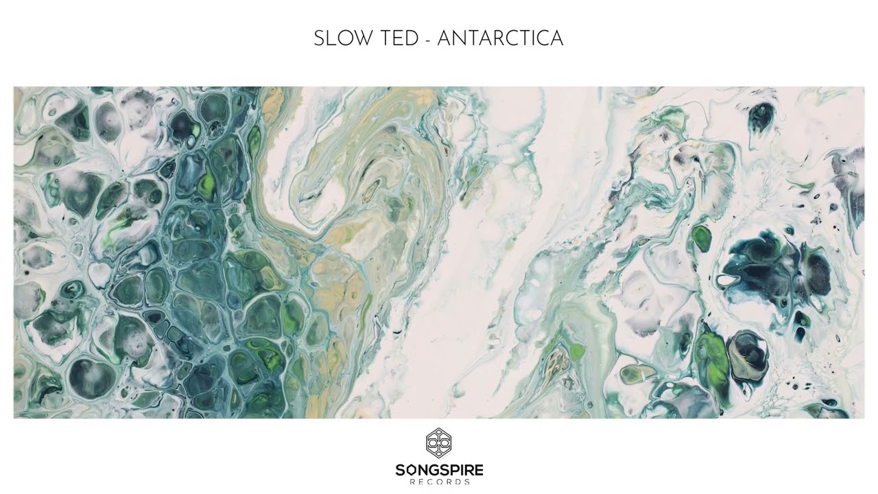 Slow Ted - Antarctica
