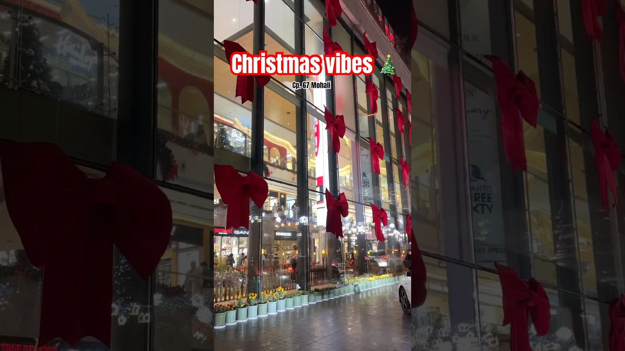 🎅🏻Cp.67 Mohali Chandigarh Christmas vibes live🎄#viral #ytshorts #mall #decoration #trending #red