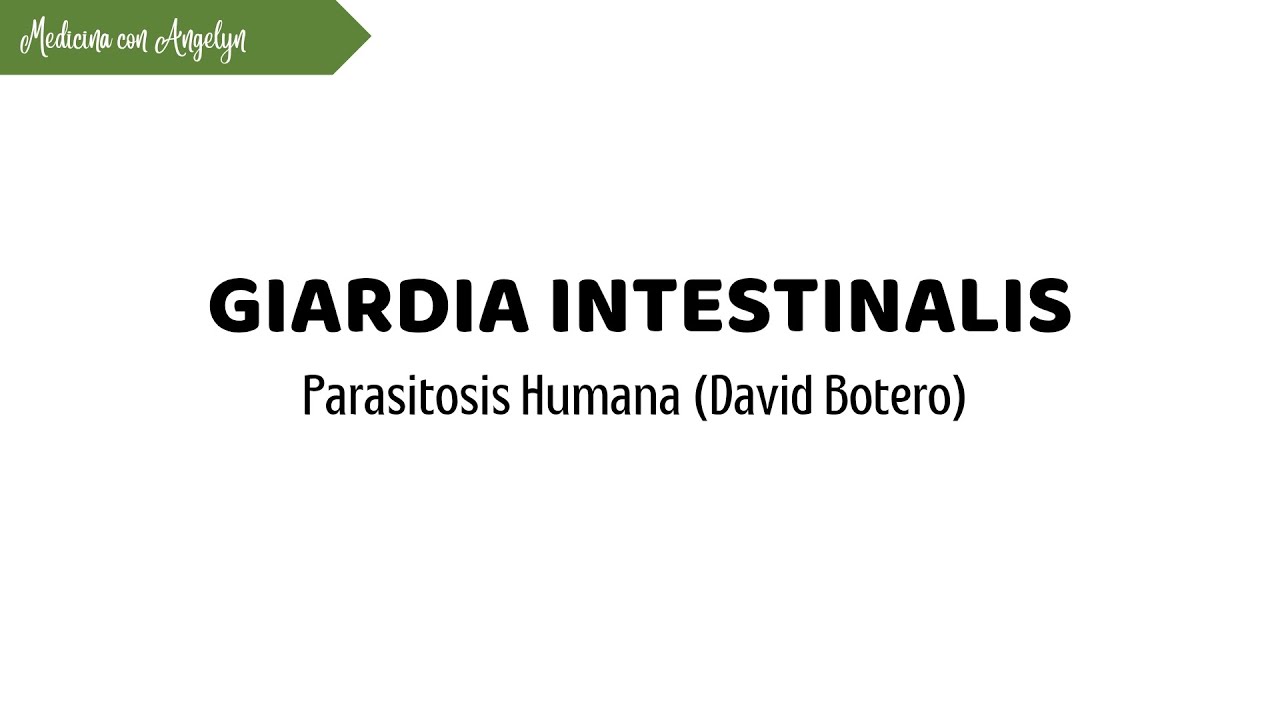 Giardia intestinalis: morfología, ciclo de vida y clínica | Parasitología 