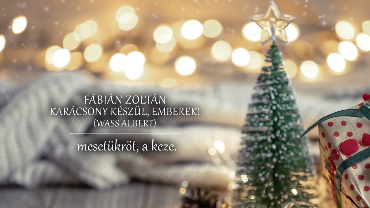 Fábián Zoltán - Karácsony készül, emberek! (hivatalos szöveges videó / official lyric video)