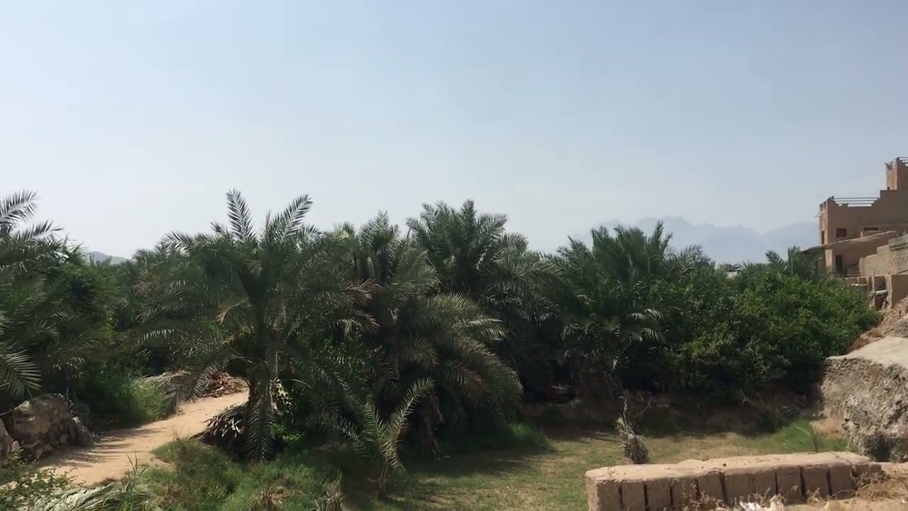 ٨ فبراير، ٢٠٢٦