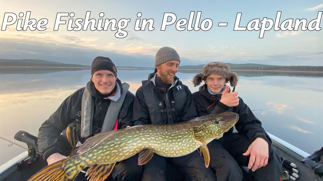 Wielkie połowy szczupaka w Pello, Laponia 🎣 Stolica wędkarstwa w Finlandii &ndash; jezioro Miekoj&auml;rvi