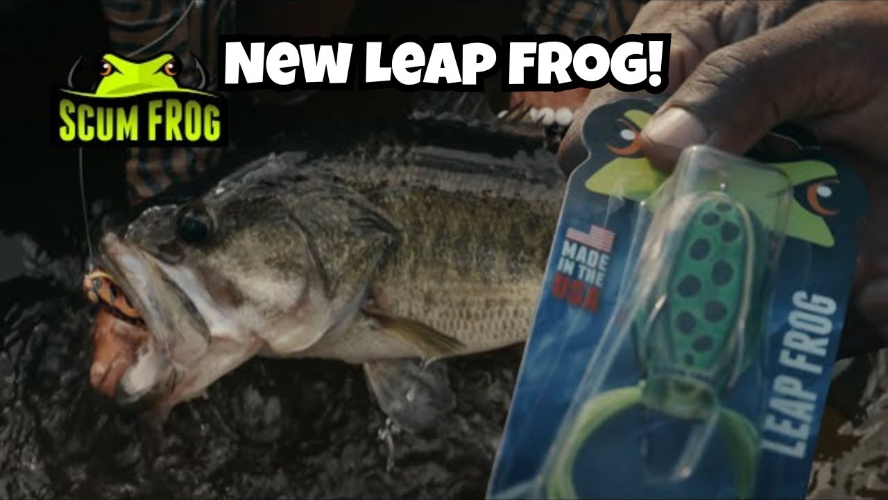 Обзор игры Scum Frog Leap Frog