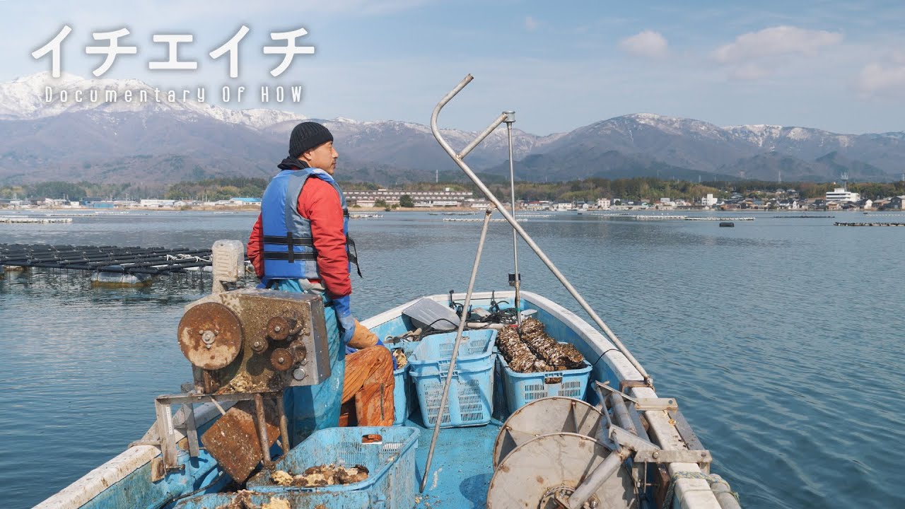 佐渡島の湖の “牡蠣漁” を見つめる。｜Documentary Of HOW