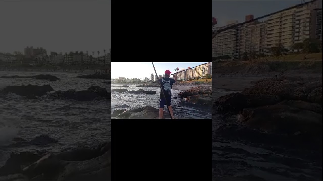 Pesca en el buceo 8/2/2026