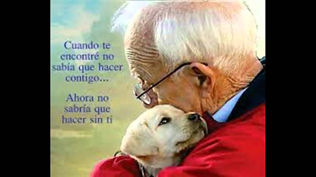 Mi Momento de Partir (Carta de un Perro)