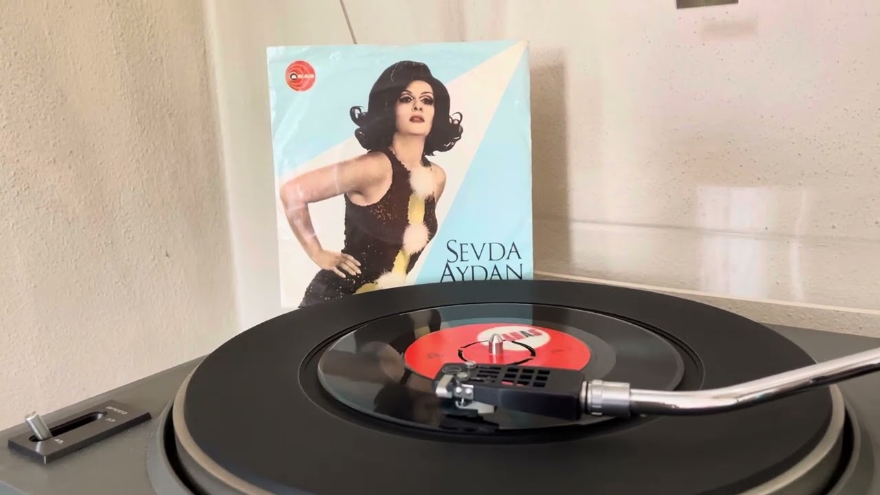 Sevda Aydan - Sessiz Martı