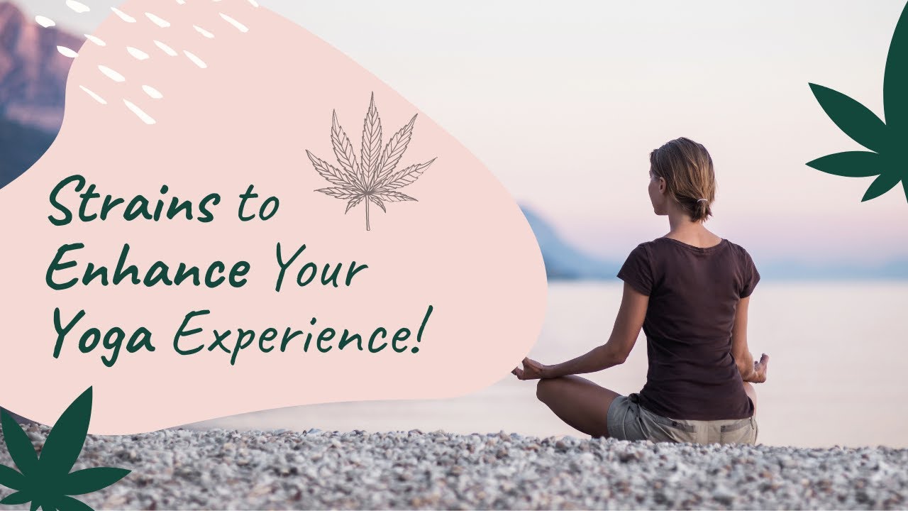 Top 5 Strains of Cannabis for Practicing Yoga | Yoga and Cannabis