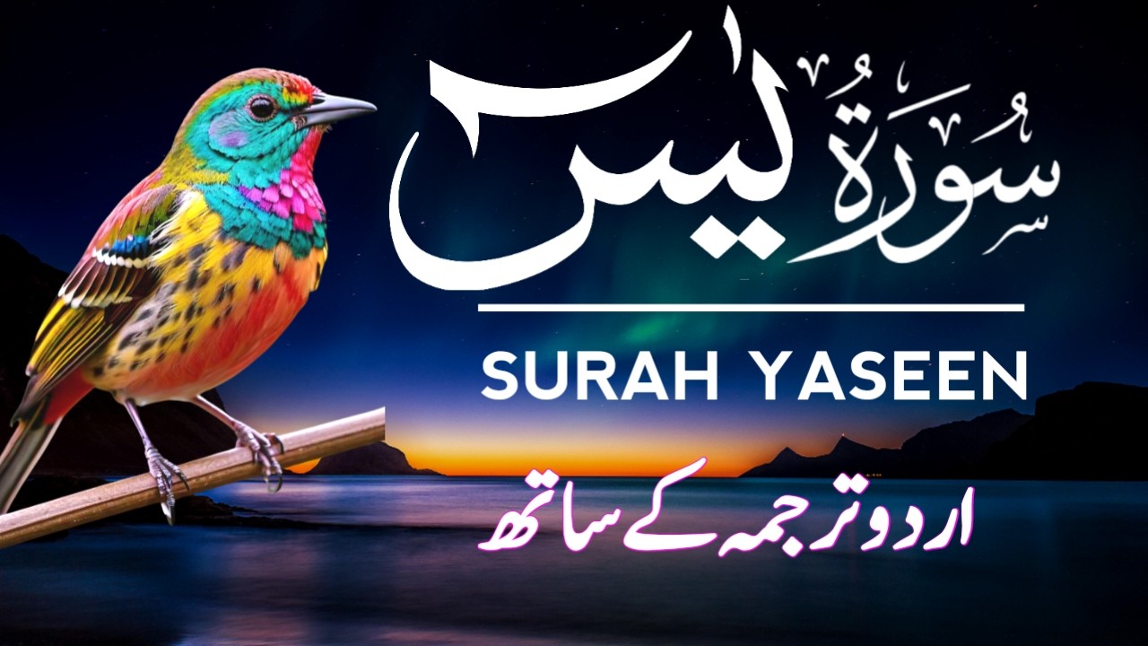 Surah Yaseen With Urdu Translation Full | Best Tilawat | Episode - 423