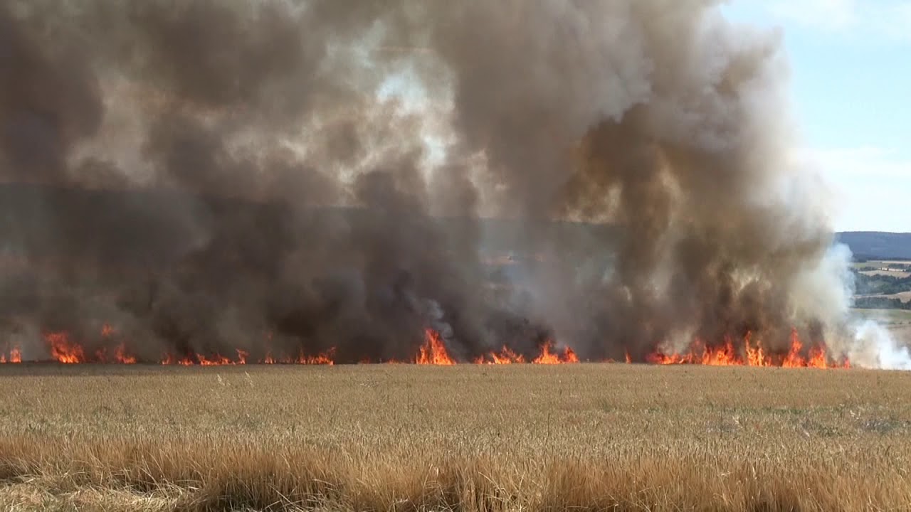 Großer Flächenbrand bei Morbach