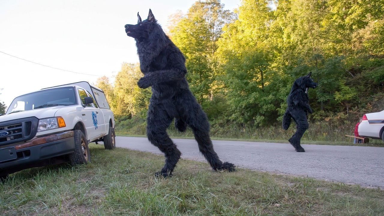 Dogman 2: Gniew miotu (2014) To już nie są zwykłe szczeniaki...