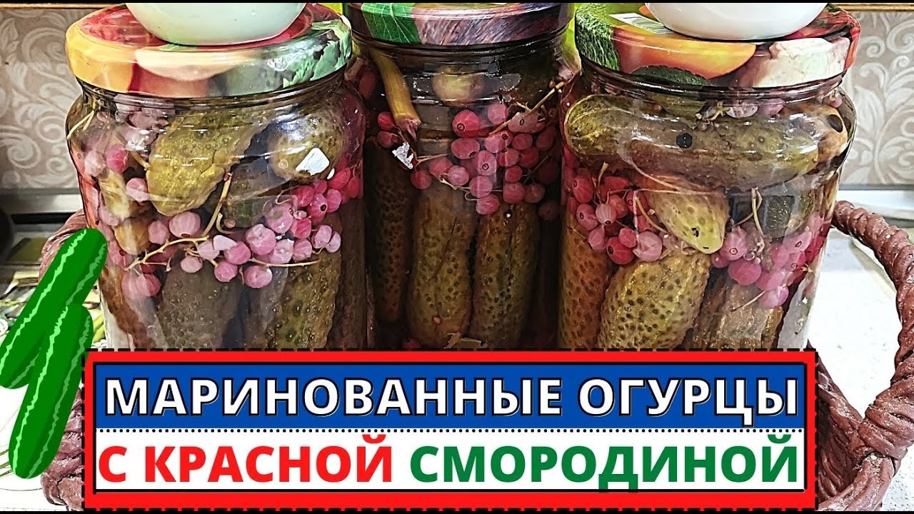 Рецепт МАРИНОВАННЫХ ОГУРЦОВ с красной смородиной на зиму.