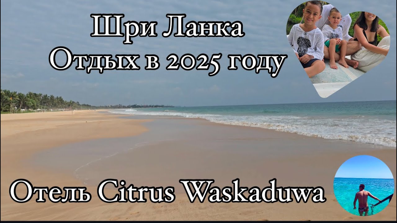 Шри Ланка 2025|Отель Citrus 5*