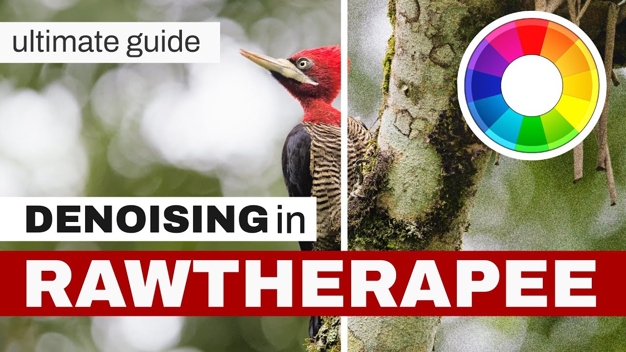 Denoising in RawTherapee | Complete Tutorial