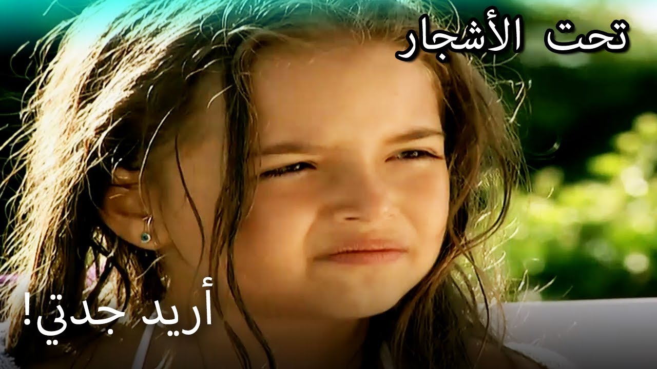 عنوان الجزء باللغة التركية - القسم الخاص تحت الزيزفون