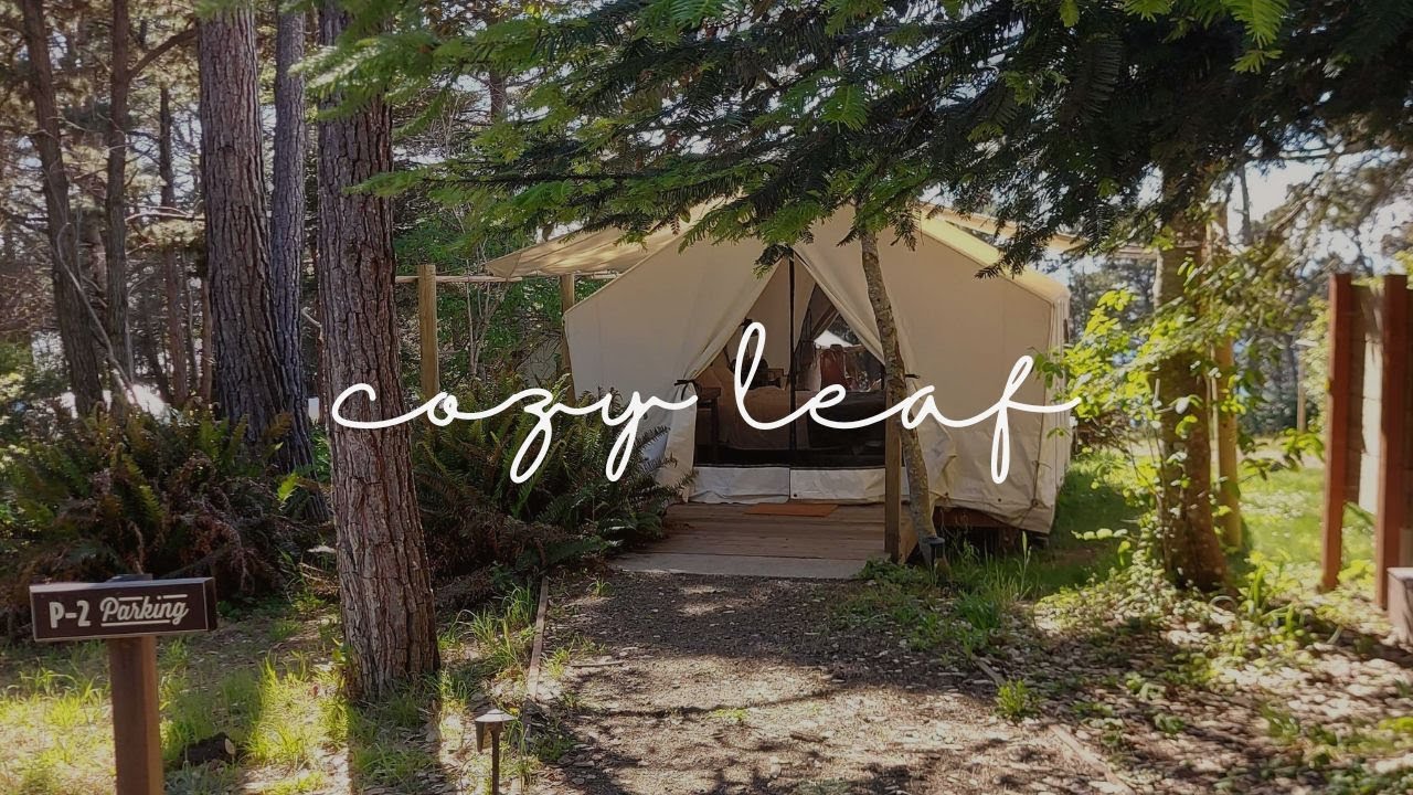 🌲⛺️ Camping in a 168 sqft luxury tent in Mendocino