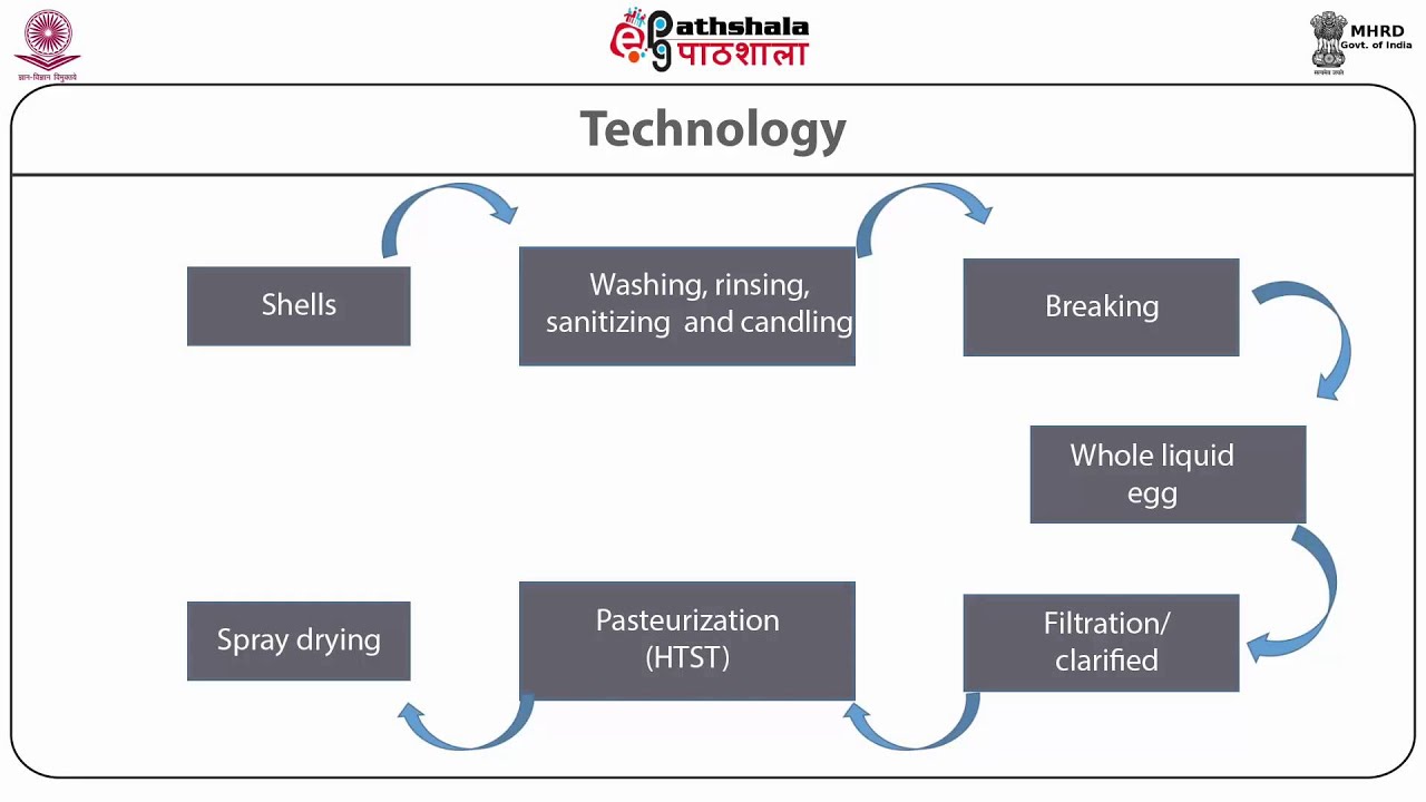Technology of dehydrated egg product, whole egg powder & egg yolk powder