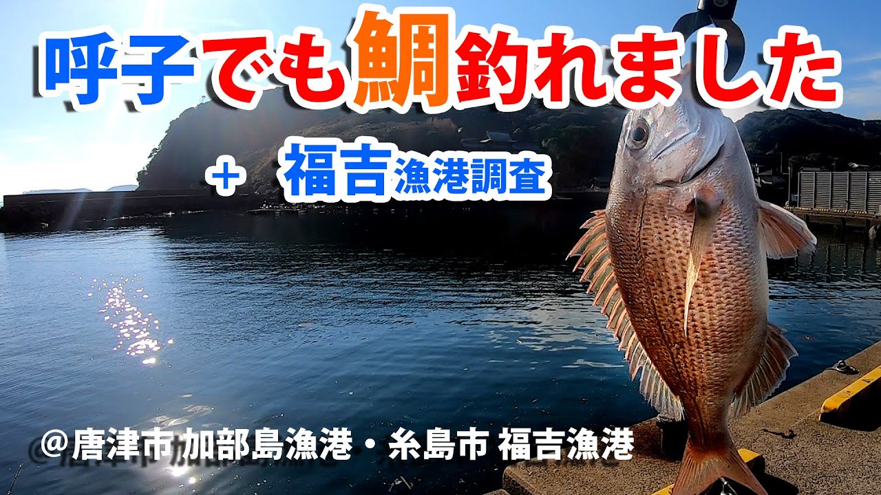 2022年10月上旬　加部島漁港・福吉漁港　釣行